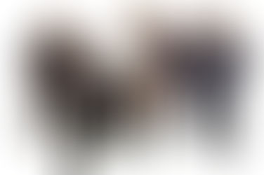 Hot Sardines This Weekend!