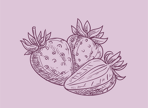 portraits-05.png