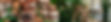 Employment-Banner-2800x560.jpeg