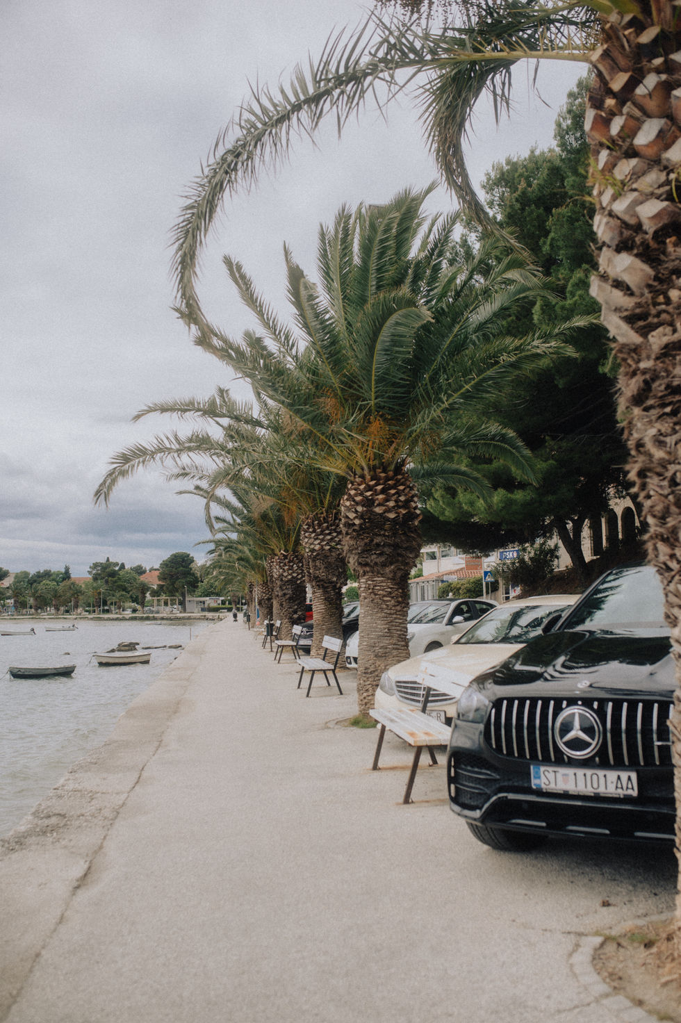 _DSC6020.JPEG