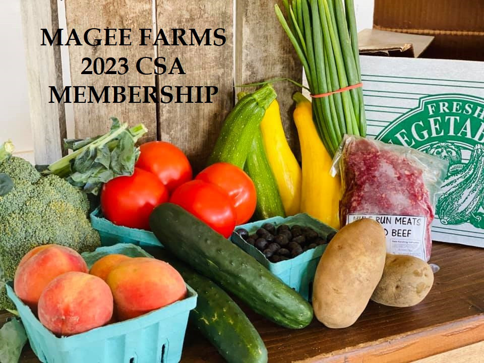 CSA Magee Farms