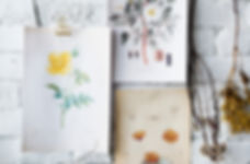 Flower Illustrations