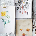 Botanical Art Display