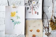 Botanical Art Display