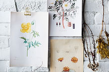 Illustrations