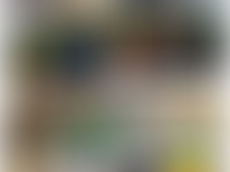 お散歩【ももぐみ】