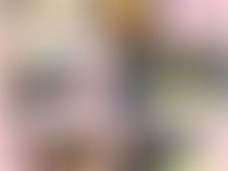 3月の様子【第1】