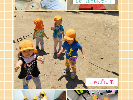 5.6月の様子【第1】