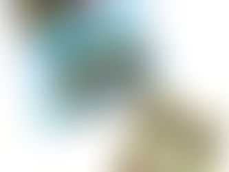 8月の様子【北越谷】