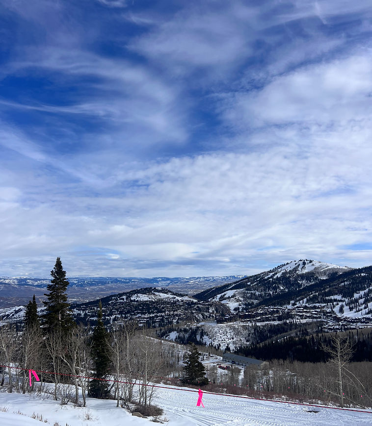 IMG_7336_edited.jpg