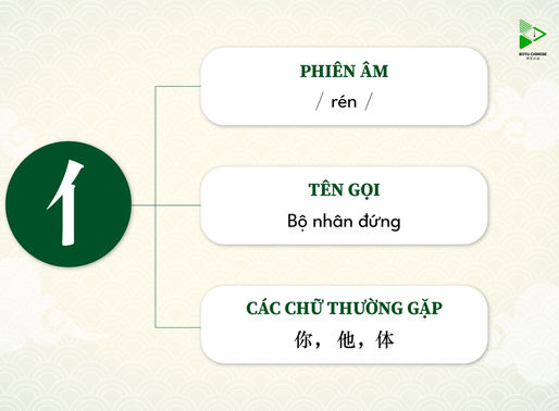 CÁC BỘ THIÊN BÀNG CẦN NHỚ [P2]