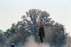 01328_n_15alhf267j1243