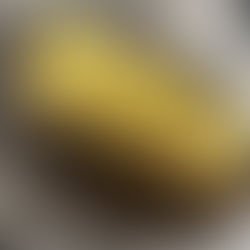 パセオ店限定　生姜餃子