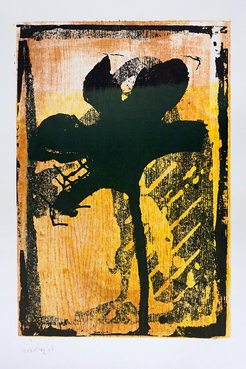 tsibi geva bird-8.jpg