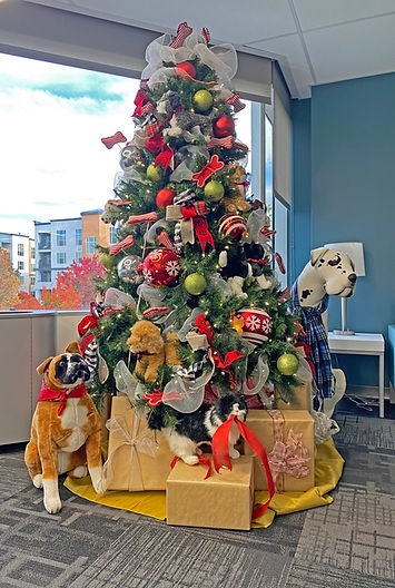 Cat and Dog Tree - Edited.jpg
