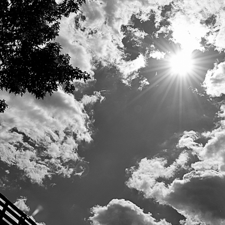 Day 1 - Ash Wednesday: Dust to Dust, Earth to Earth