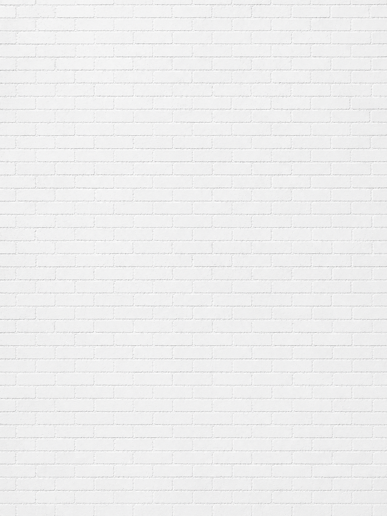 MURO SFONDO BIANCO.png