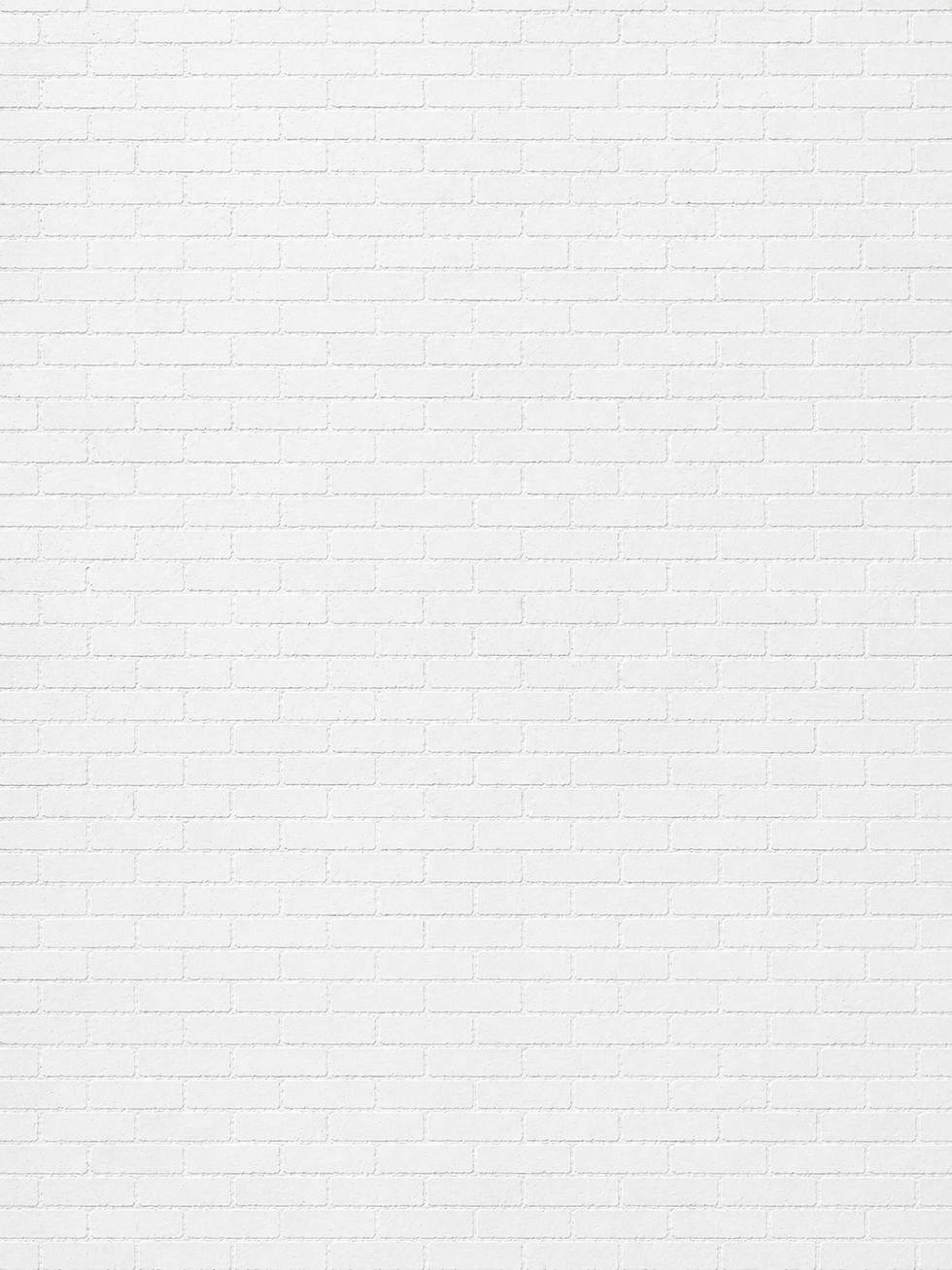 MURO SFONDO BIANCO.png