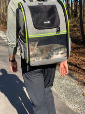 a cat in a cat carrier back pack going for a walk outside