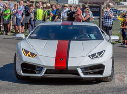 White Lambo in Cruise - WM-9993-David Concannon