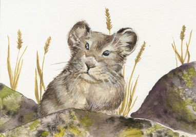 Pika 3, Baileya White Art