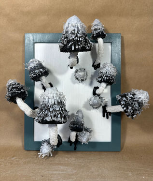 Shaggy Mane (Coprinus comatus), Baileya White Art