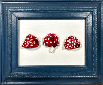 Fly Agaric (Amanita muscaria)Baileya White Art