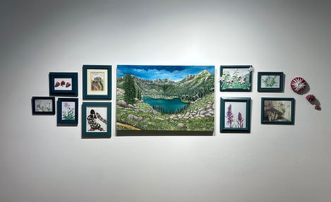 Baileya White Art installation