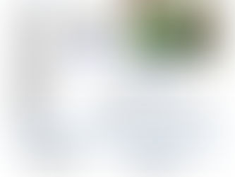 Senior Center Newsletter April. 2026