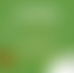 Zoning Commission Meeting - Nov. 10th