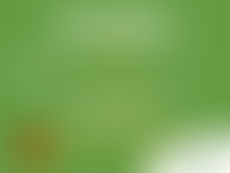 Zoning Commission Meeting - Nov. 10th