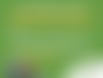 Workshop Meeting - Dec. 19