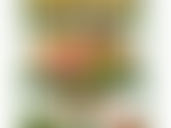 Sullivan Fire Corned Beef & Cabbage Fundraiser - Mar. 14