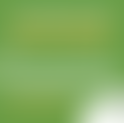 Special Meeting - Jan. 13