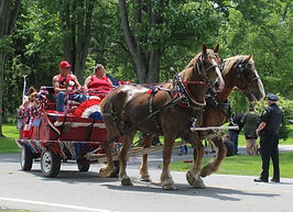Horse-drawn wagon participating in a Camden Township community parade
