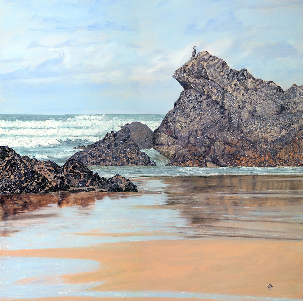 Cormorant Surveying Dropping Tide, Sandymouth