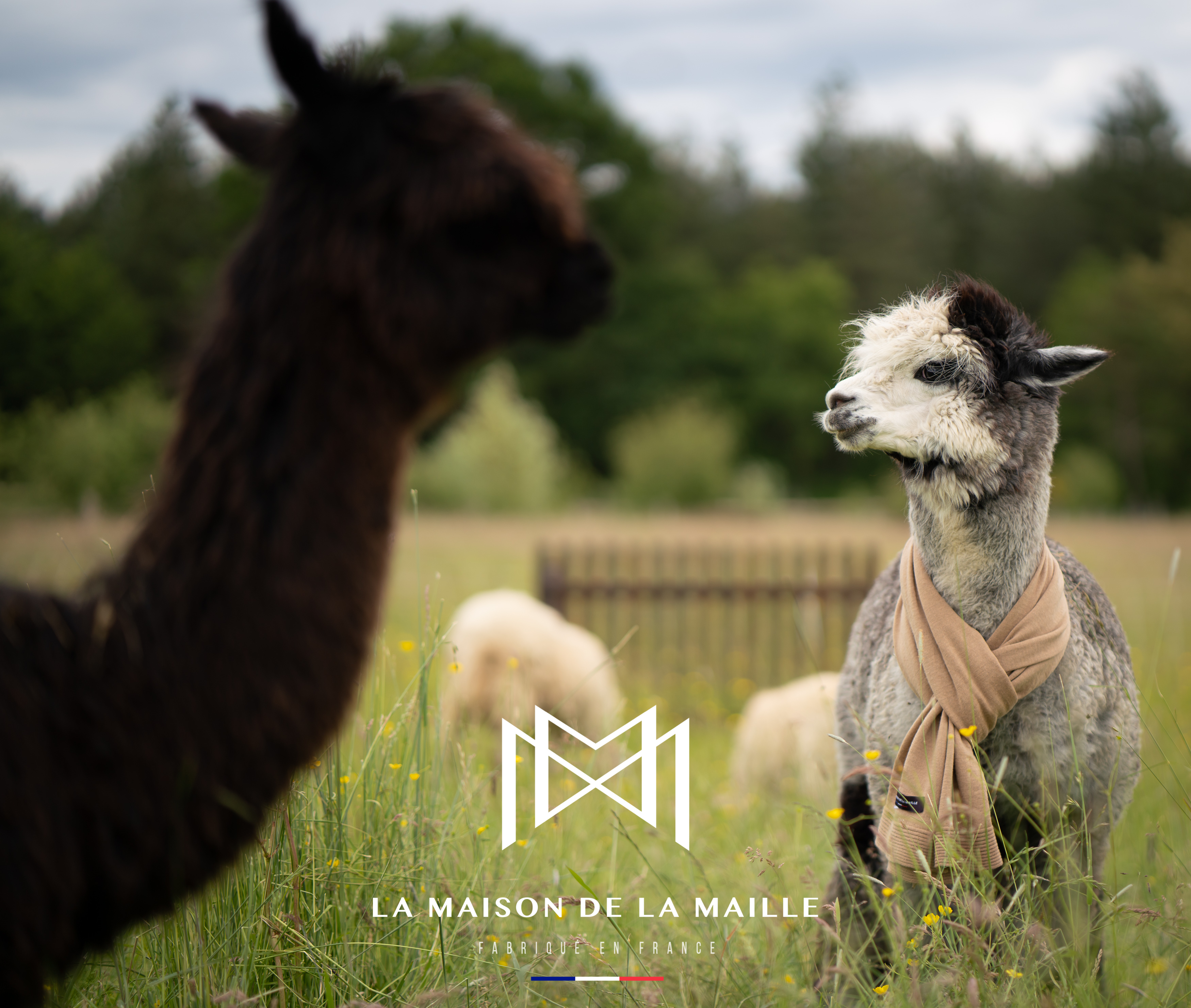 La Maison de la Maille
