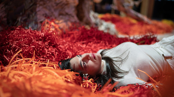 American artist in Paris.jpg