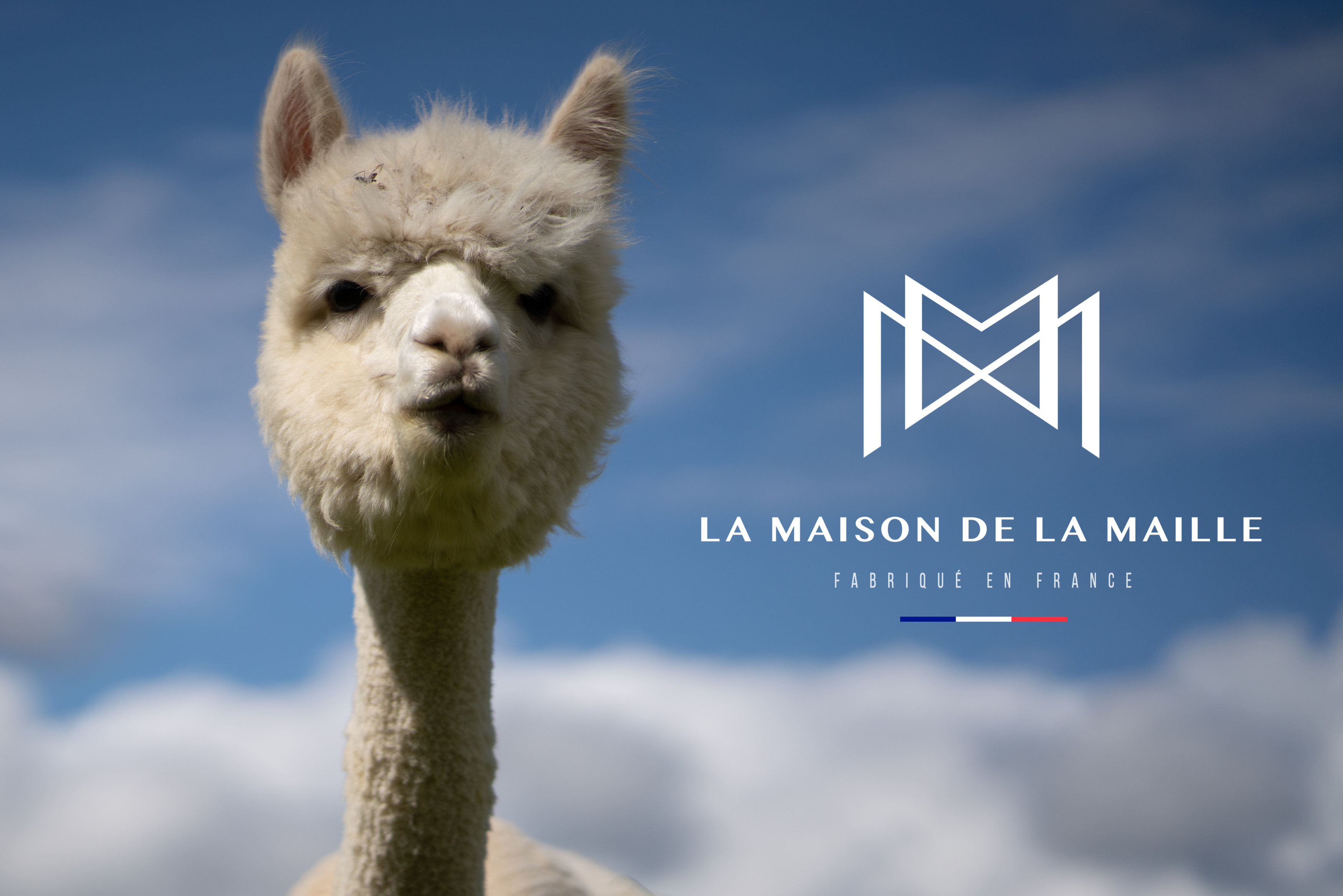 La Maison de la Maille