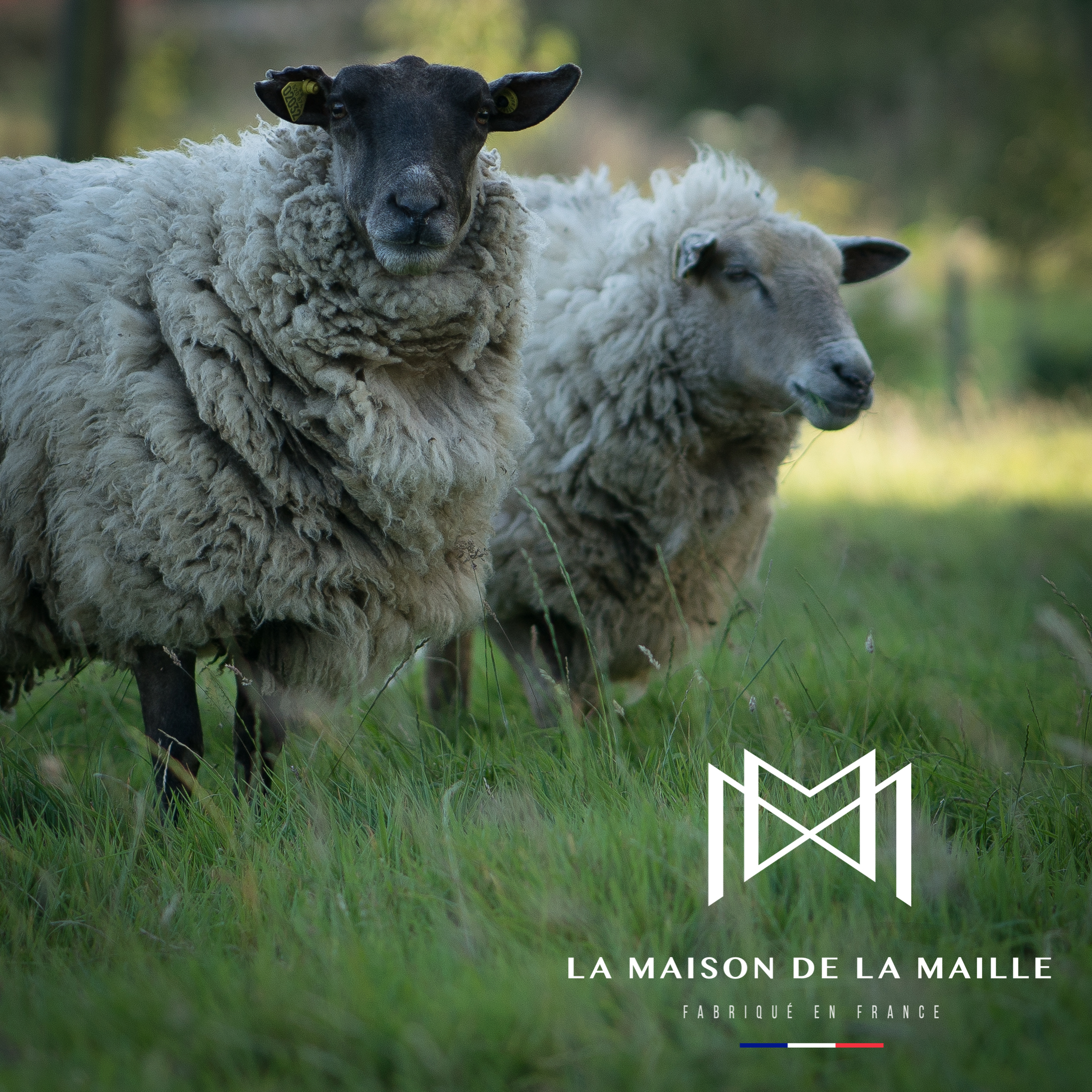La Maison de la Maille