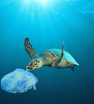 Plastik verschmutzter Ozean