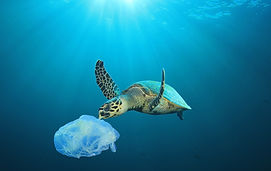 Plastic Polluted Ocean