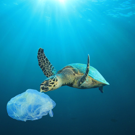Lentomatkustus ja zero waste