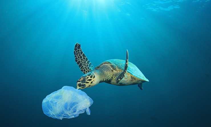 Plastic Polluted Ocean