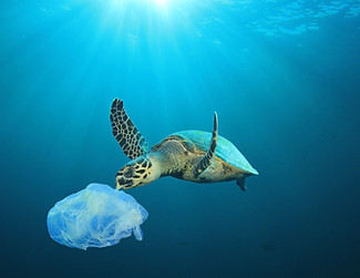 Océano contaminado plástico