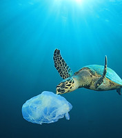 Océan pollué par le plastique