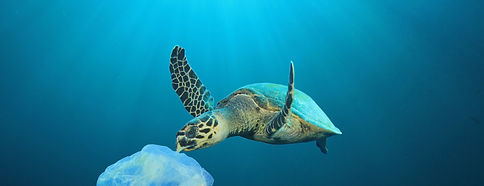 Plastic Polluted Ocean