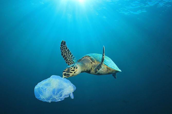 プラスチック汚染オーシャン