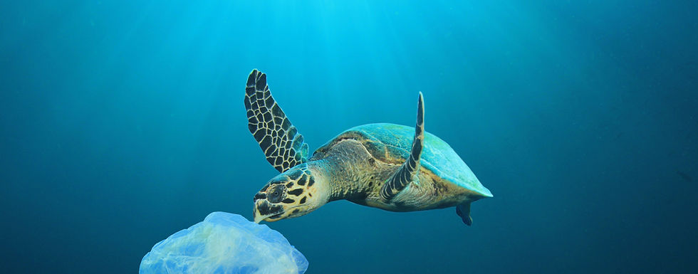 Portugal e os oceanos