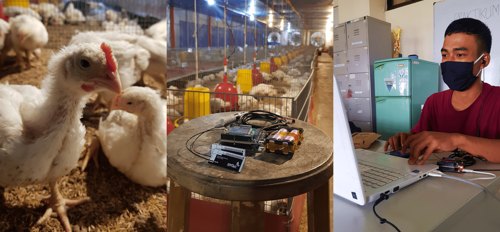 Meningkatkan Produktivitas Peternakan Unggas dengan Smart Farming Meningkatkan Produktivitas Peternakan Unggas dengan Smart Farming